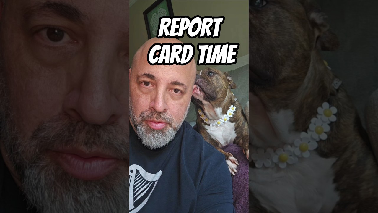 REPORT CARD TIME #dog #dogs #doglover #danregancomedy