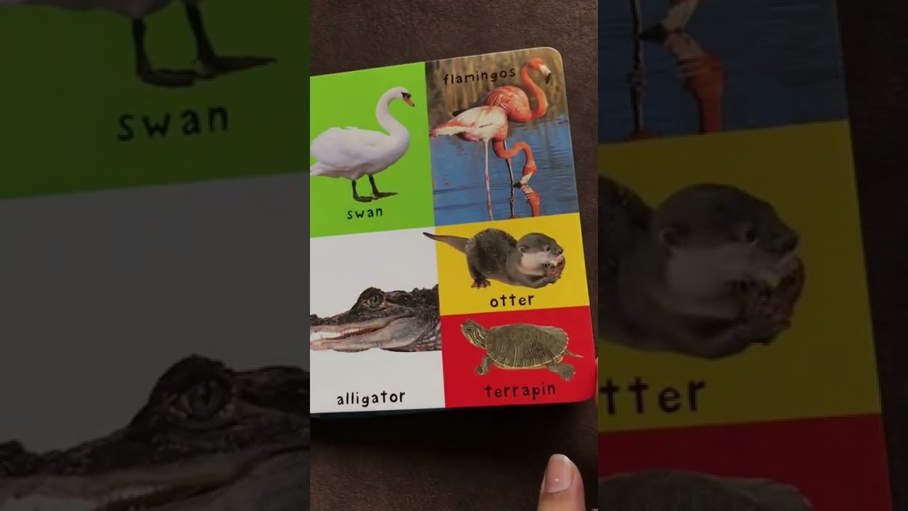 First 100 animals (small)