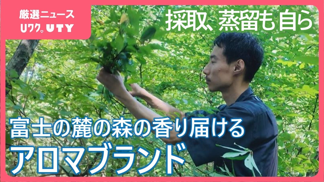 森と自分、お互いが共に豊かになれるように」 森の香りをアロマに 1kg