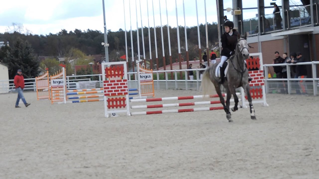 Towarzyskie Zawody W Skokach Przez Przeszkody Klasa Mini LL Drzonk w towarzyskie-zawody-w-skokach-przez-przeszkody-klasa-mini-ll-drzonk-w