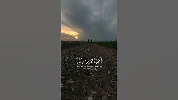 القارئ.الشیخ محمد الحیدان.سورة الشوری #راحة_نفسية #المصحف #فولو #لايك #اكسبلور