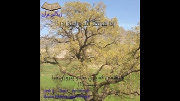 سوره نصر با ترجمه فارسی