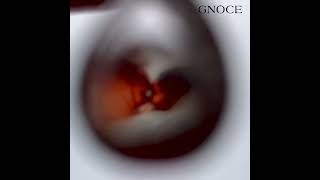 Premium Projection Charms