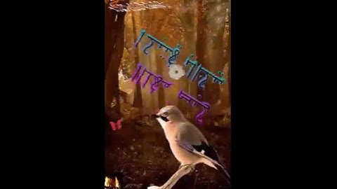 بسم •اللّـہ̣̥ ماشاءالله تبارك الرحمن تلاوة مباركة