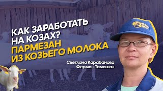 Козья ферма в Казахстане: чем кормить коз, как ухаживать, что производить из козьего молока? |Тамаша