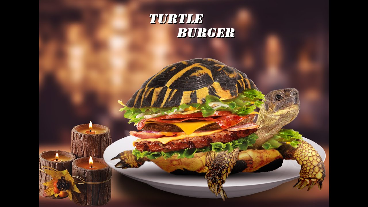 Turtle Burger manipulation. YouTube