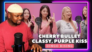 DINGO Rising Analysis - Cherry Bullet, Classy & Purple Kiss | HONEST Review!