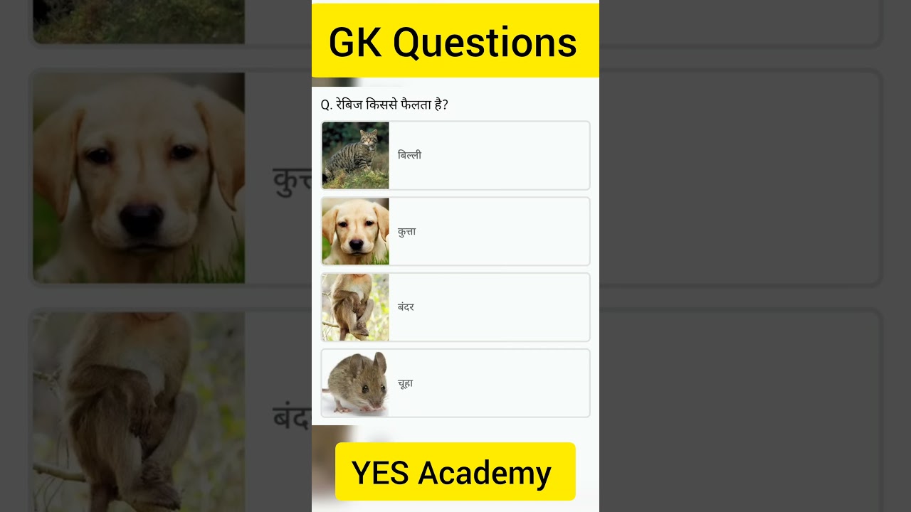 GK Questions By Yes Academy 