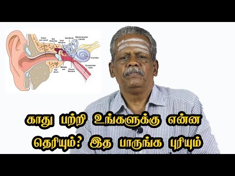 காது பற்றி உங்களுக்கு என்ன தெரியும்? இத பாருங்க புரியும் | Basic Ear Anatomy