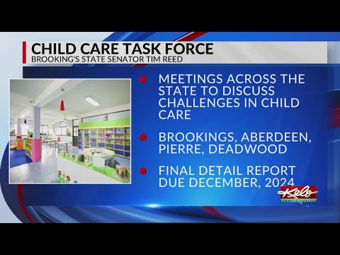 Senator announces child care task force