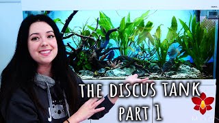 How I made a planted Discus Aquarium Part 1  Equipment & Substrate