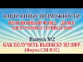 Пенсионный фонд дома.  Выпуск 2.  Как получить выписку из пфр.  Форма СЗИ-ИЛС.