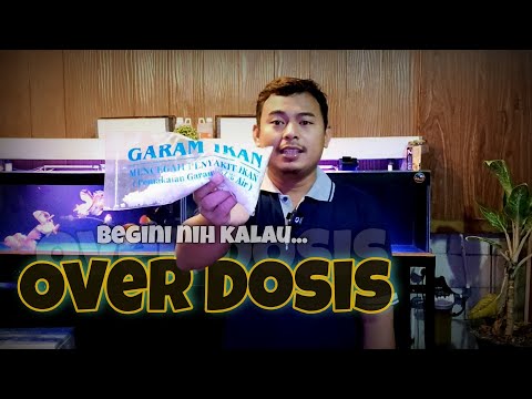 Video: Haruskah kuda diberi garam beryodium?