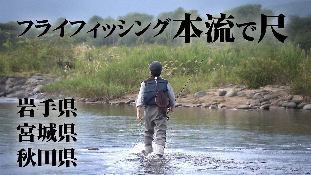 フライフィッシングDVD　渋谷直人　３枚 Naoto Shibuya's Fly Fishing: Chasing 12-Inch Yamame & Char in the
