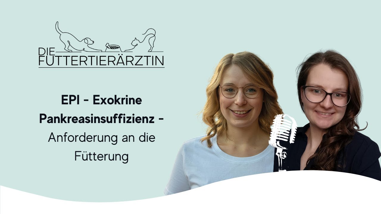 EPI - Exokrine Pankreasinsuffizienz - Anforderung an die Fütterung