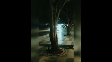 Evening view #mindspace #hyderabad #yash #technologies