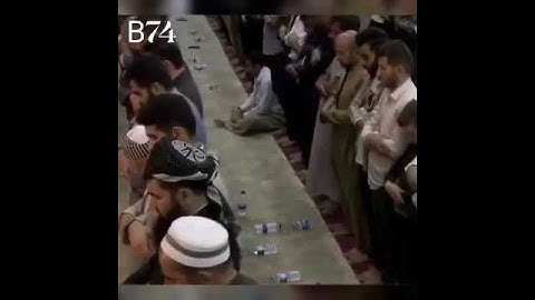 القارئ الشيخ رعد محمد الكردي ( ما تيسر من سورة فاطر )