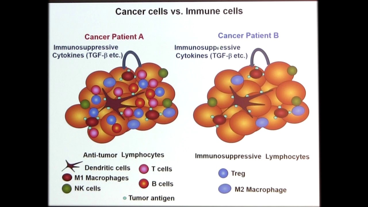 how long can a person live with carcinoid cancer