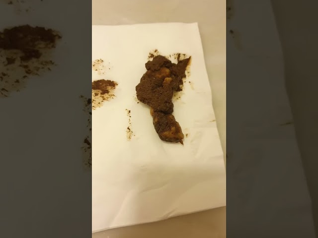 #pov:my dog poops on the tissue class=