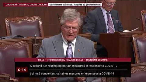 Senator Plett addresses the Canada Emergency Wage Subsidy in the Senate