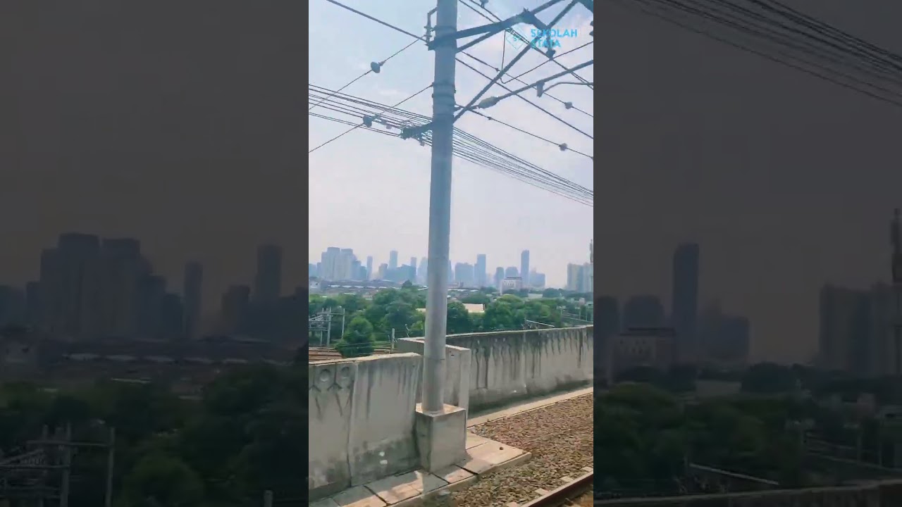 Pelatihan Web Scraping Data di LPEM FEB UI Kelas Institusi