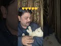 so beautiful 😻 cat 😺#youtubeshorts #cat #love #funny #viralcats #shorts #viralshorts