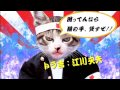 壁紙 なめ猫 画像 878995-壁紙 なめ猫 画像
