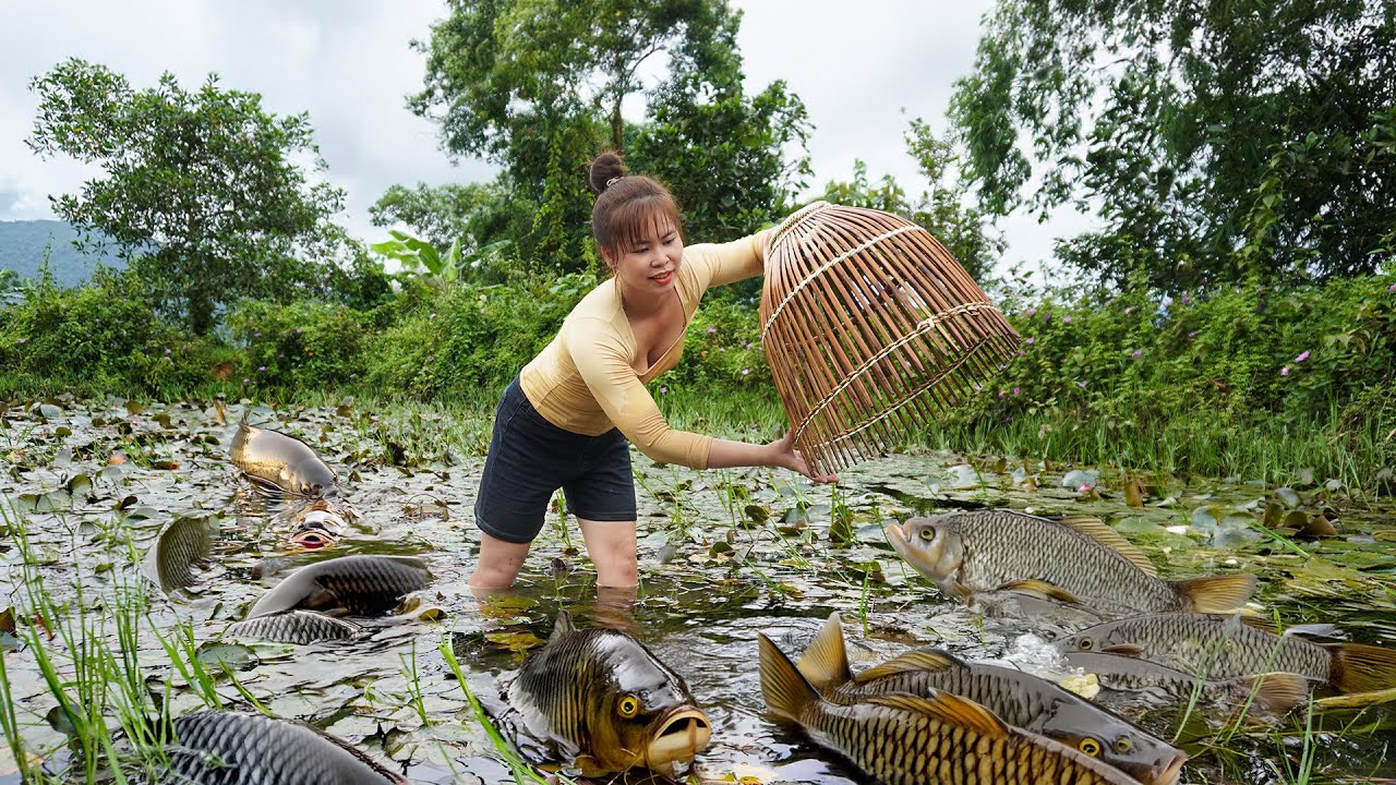 Harvesting A Lot Of Fish - Take Care Ducking And Big-Footed Chicken - Village Life - New Life