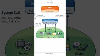 Shell, Kernel & System Calls – Functions and Relationship #shorts #education