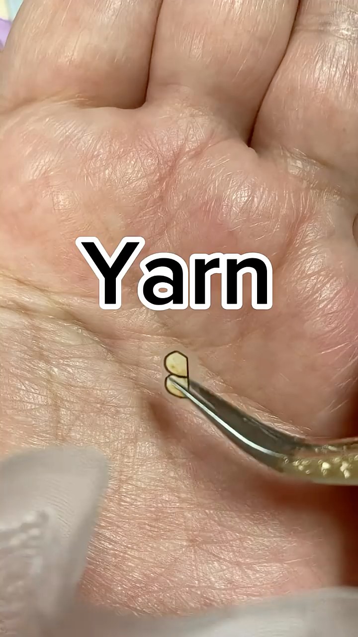 YouTube YouTube