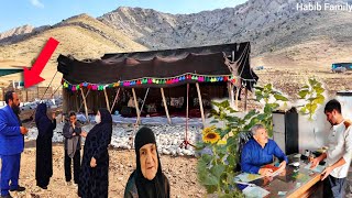 Habib Family Seeks Fresh Hope: Clearing the Farm and Starting the Nomadic Tent Journey