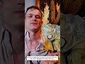 Moments of Animals Being Rescued and Loved #rescue #animals #animalrescue #animalshorts #love #pets