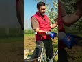 Ho comprato uno spandiconcime a soli 50 euro