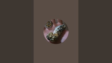 Breaking The Matrix 🫠