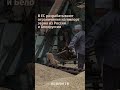 В ЕС разрабатывают ограничения на импорт зерна из России и Белоруссии