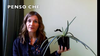 IL VERBO \