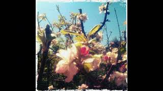 Songs For April