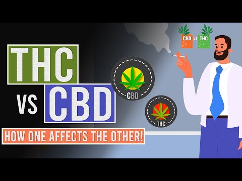 THC vs CBD: How one affects the other!