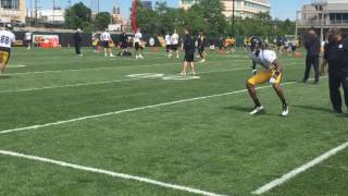 Martavis Bryant practices at 1st OTA since suspension