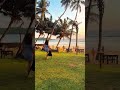 Mostly beautiful nature Viewpoint in Srilanka Viral