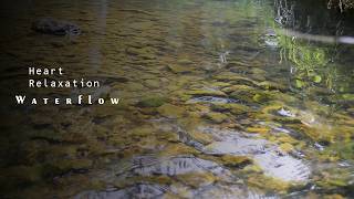 Nature’s Serenity:  Water Sound, Heart Relaxation Water Flow  & Stress Relief