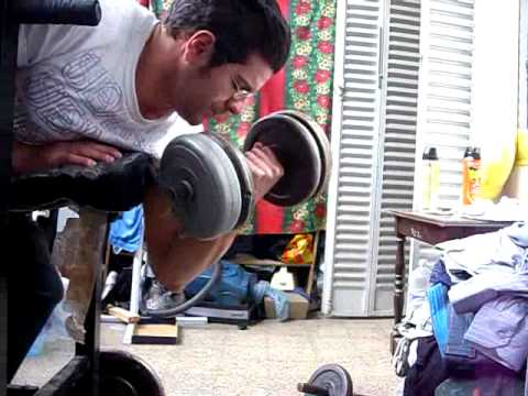 GYM WORKOUTS - GROWING MUSCLES exercise 14.1 class 11