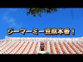 【生配信】『ジーマーミ豆腐』1から作る。（笑）