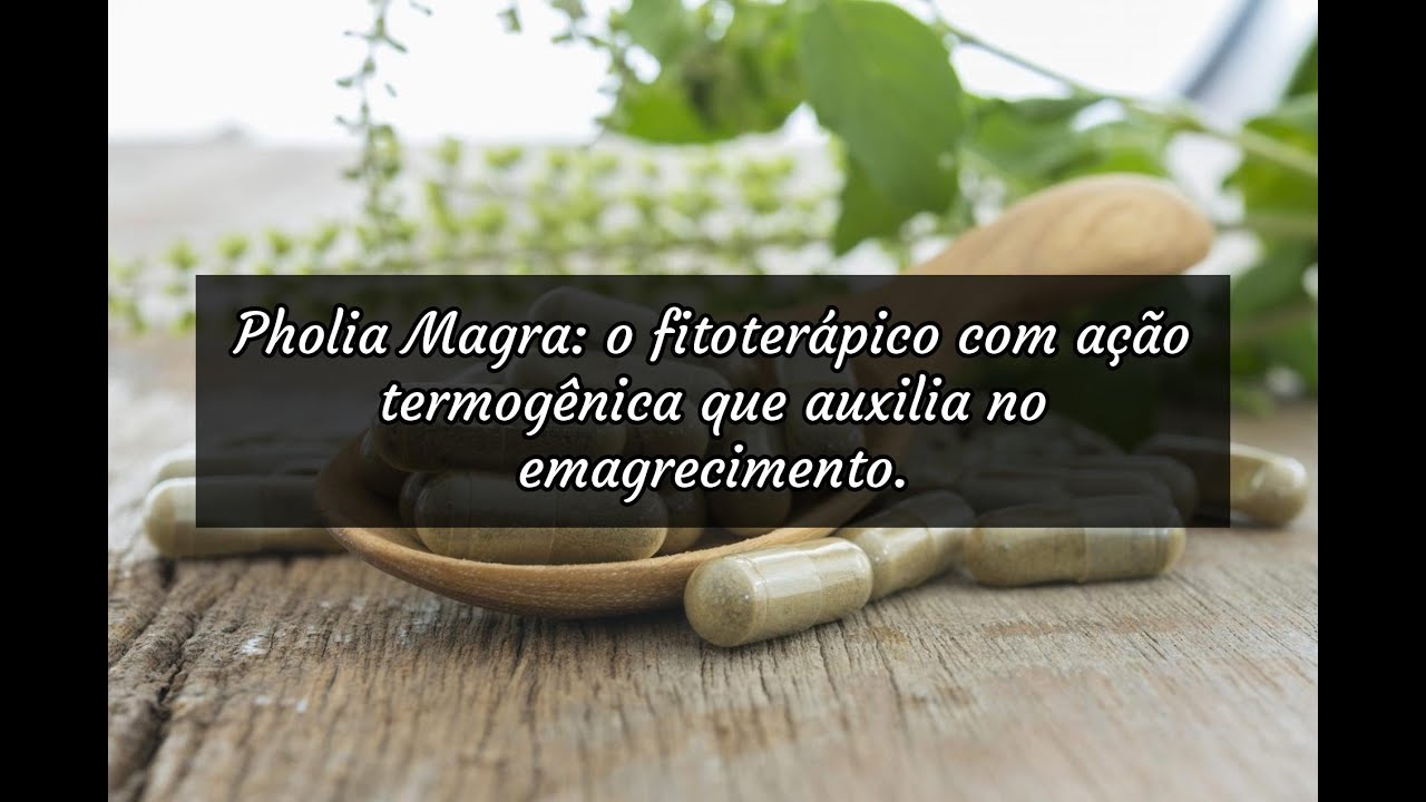 Pholia Magra: o fitoterápico com ação termogênica que auxilia no emagrecimento.