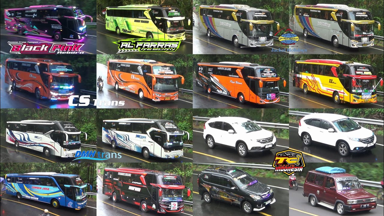 Mobil Bus Telolet Black Pink, Al Farras, Revalin, Sweet Cheese, Andreas, Natasha, Sexy Orange, TCI