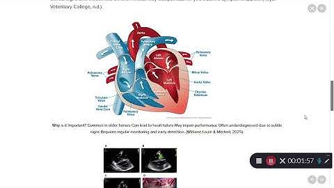 Kaltura Capture recording   November 9th 2025, 6 08 09 pm HD 1080   WEB H264 4000
