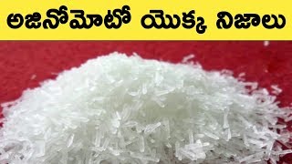 Why Ajinomoto Banned || T Talks