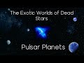 The exotic planets of exotic stars  pulsar planets