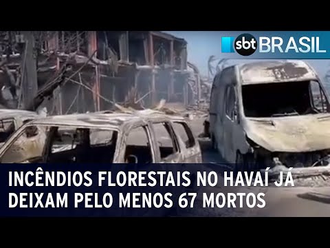 Incêndios florestais no Havaí já deixam pelo menos 67 mortos | SBT Brasil (11/08/23)