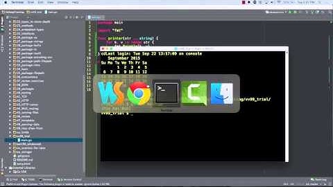 golang slices variadic